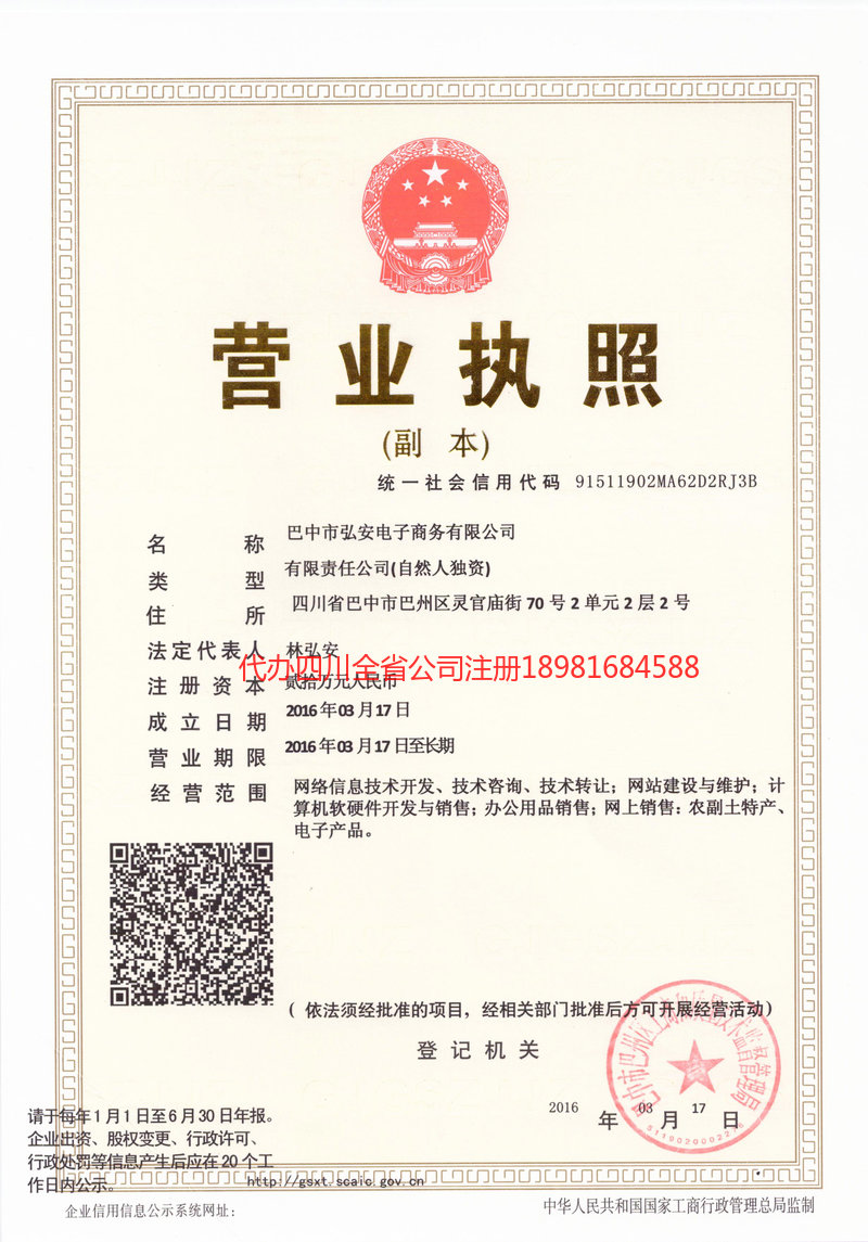 岳阳岳阳宏安电子商务有限公司