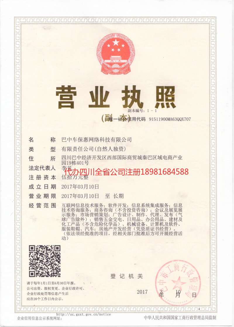 岳阳岳阳车保惠网络科技有限公司