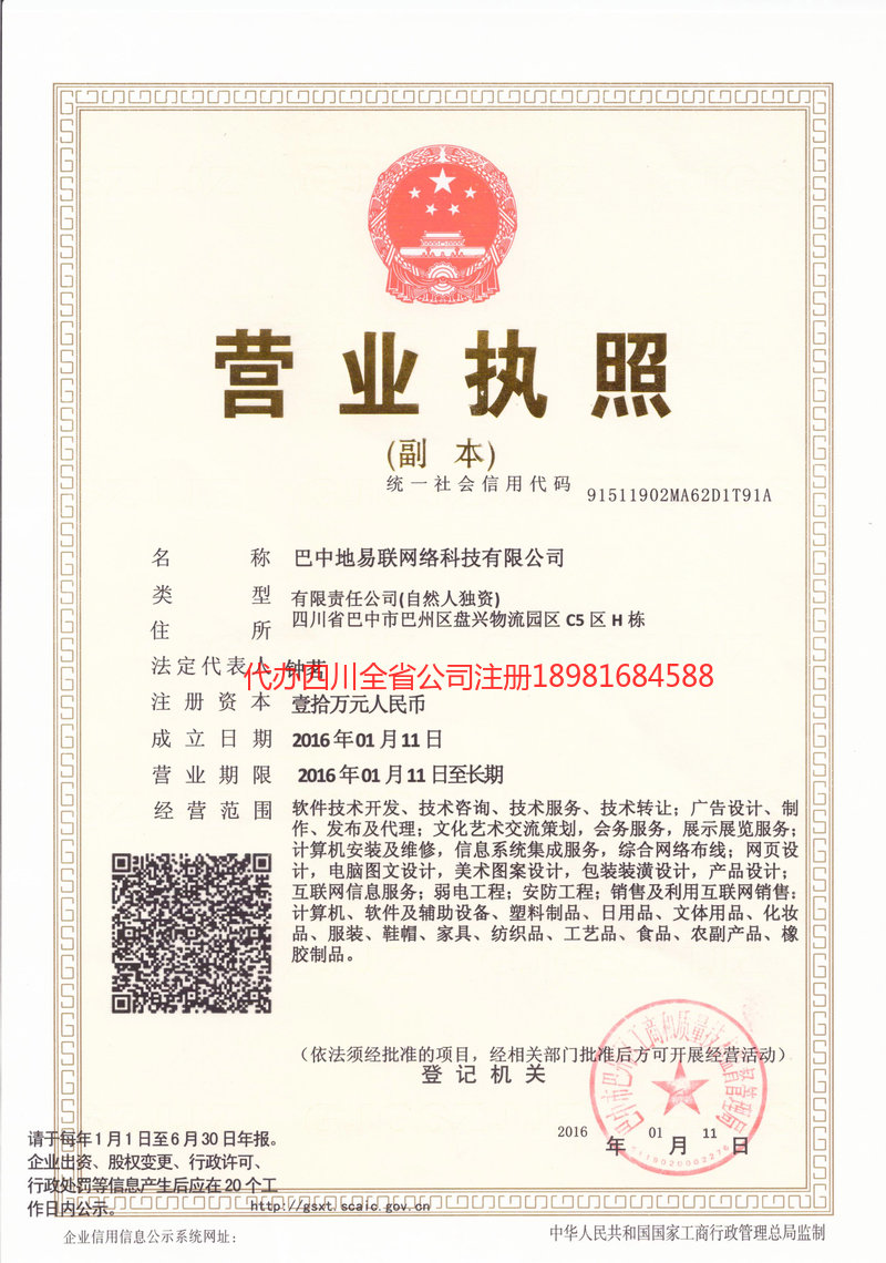 岳阳岳阳地易联网络科技有限公司